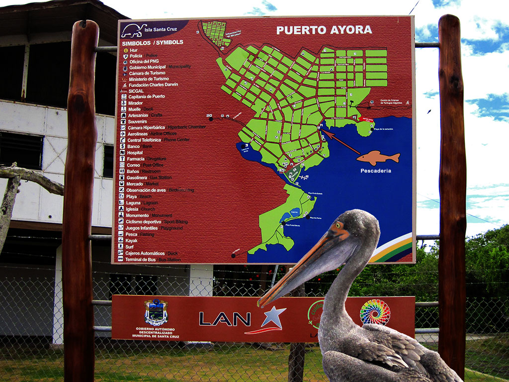 slideshow